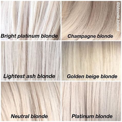 garnier champagne blonde|champagne blonde vs platinum.